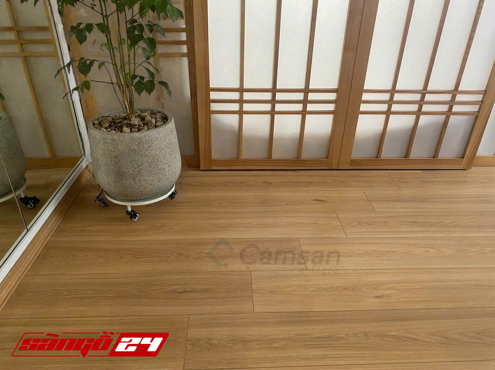 Camsan FL8006