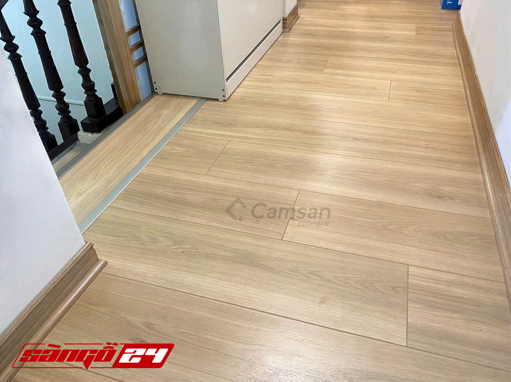 Camsan FL8006